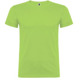 Beagle koszulka męska z krótkim rękawem oasis green (R65545R2)
