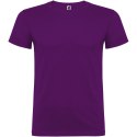 Beagle koszulka męska z krótkim rękawem fioletowy (R65544H2)