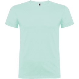 Beagle koszulka męska z krótkim rękawem zielony miętowy (R65543B2)