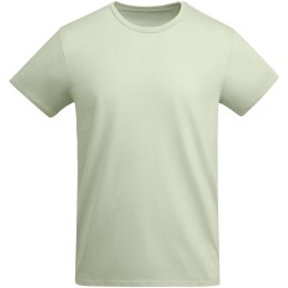 Breda koszulka męska z krótkim rękawem mist green (R66985Q1)