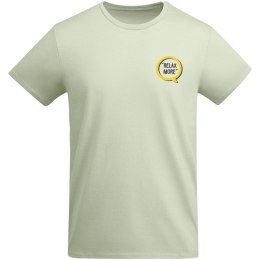 Breda koszulka męska z krótkim rękawem mist green (R66985Q5)