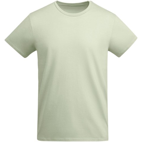 Breda koszulka męska z krótkim rękawem mist green (R66985Q6)