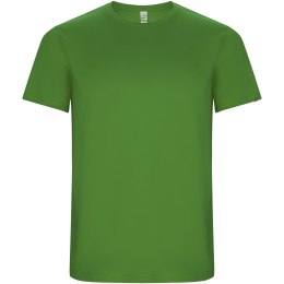 Imola sportowa koszulka dziecięca z krótkim rękawem green fern
