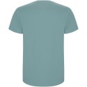 Stafford koszulka męska z krótkim rękawem dusty blue