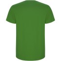 Stafford koszulka męska z krótkim rękawem grass green