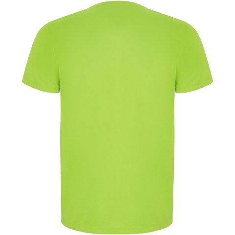 Imola sportowa koszulka męska z krótkim rękawem fluor green Imola sportowa koszulka męska z krótkim rękawem fluor green