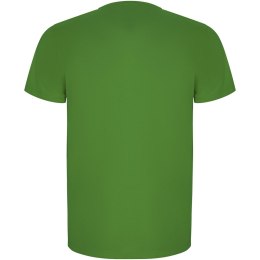 Imola sportowa koszulka męska z krótkim rękawem green fern