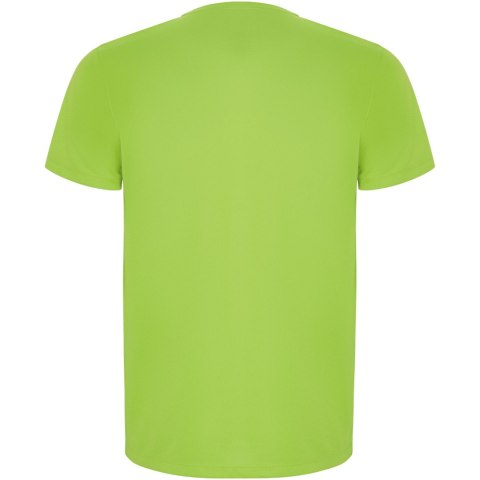 Imola sportowa koszulka męska z krótkim rękawem lime / green lime Imola sportowa koszulka męska z krótkim rękawem lime / green lime