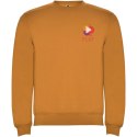 Bluza Clasica curry yellow