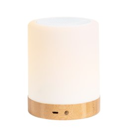 Głośnik bluetooth