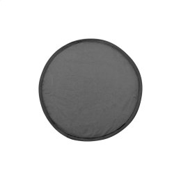 Frisbie