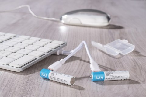 Zestaw akumulatorków AAA 450 mAh Zestaw akumulatorków AAA 450 mAh