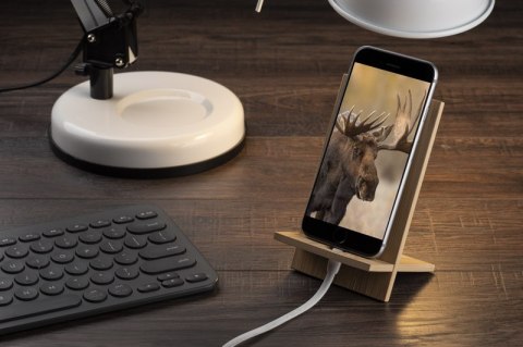 Bambusowy stojak na telefon RAGA Bambusowy stojak na telefon RAGA
