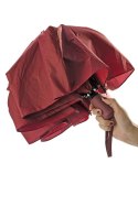 Parasol REGO