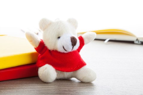 Teddy brelok Teddy brelok