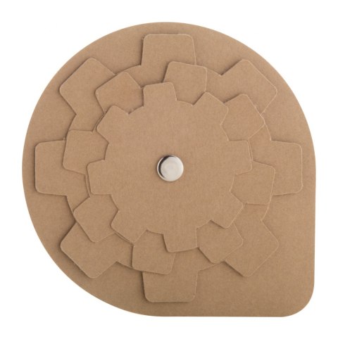 Spinalis Eco puzzle Spinalis Eco puzzle
