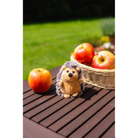 Pluszowy jeż | Spiky