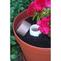 Ceramiczne naczynie do nawadniania roślin 200 ml B'RIGHT | I'Riga Ceramiczne naczynie do nawadniania roślin 200 ml B'RIGHT | I'Riga