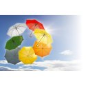 Parasol automatyczny | Hayden Parasol automatyczny | Hayden