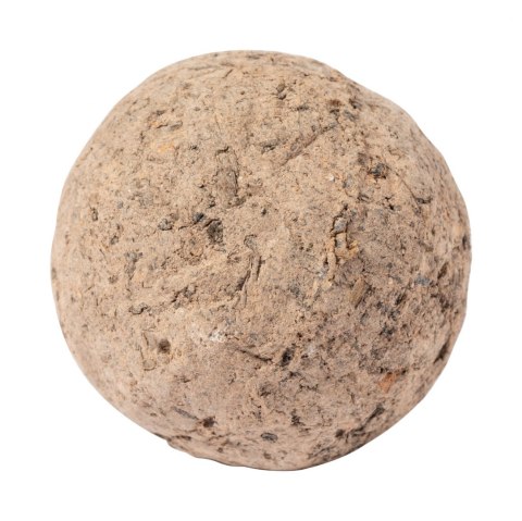 Mussox nasiona Mussox nasiona
