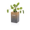 Kubek termiczny 300 ml Avira Alya Kubek termiczny 300 ml Avira Alya