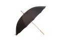 Parasol Parasol