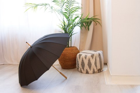 Parasol Parasol