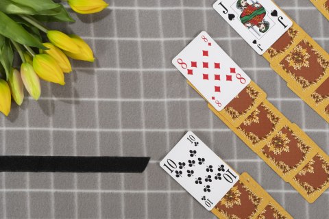 Koc piknikowy CHECK Koc piknikowy CHECK